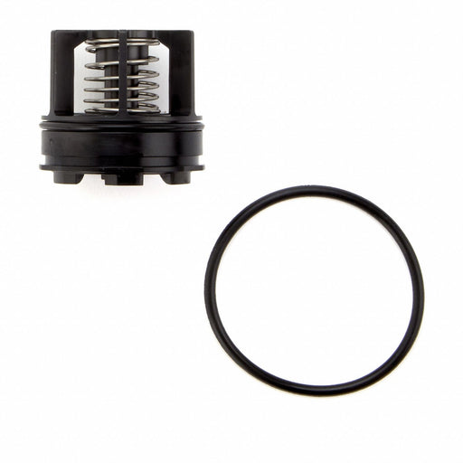 Backflow Preventer Repair Kits