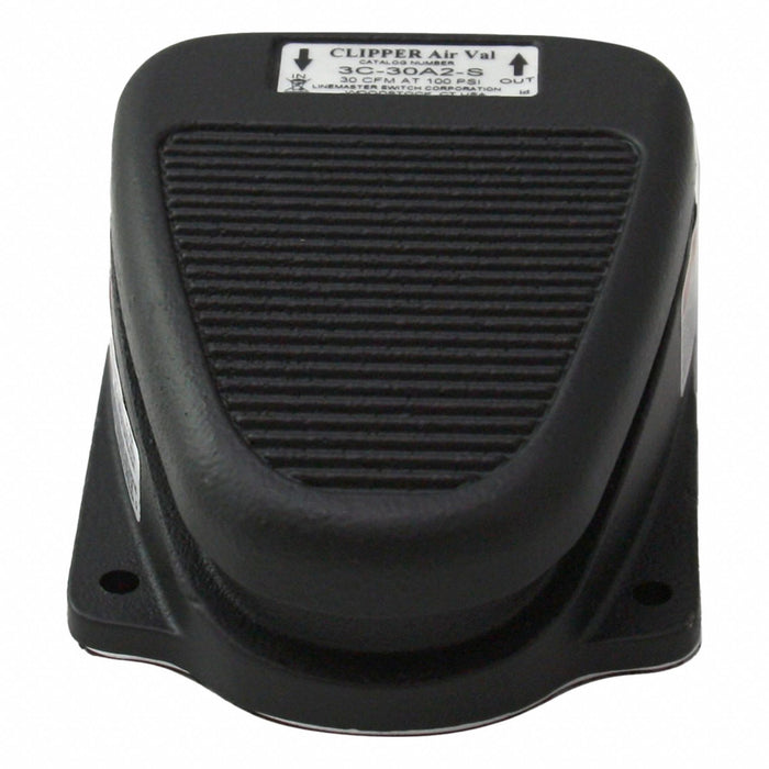 Foot Switch Black Cast Iron Momentary