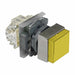 IllumPushButton FullVolt Blue 2NO/2NC