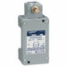 Hazardous Location Limit Switch 1NO/1NC