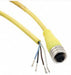 Cordset 4 Pin Receptacle Female