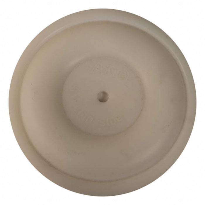 Diaphragm PTFE