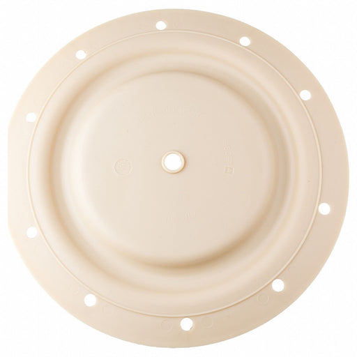 Diaphragm Hytrel
