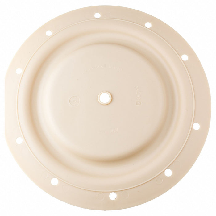 Diaphragm Hytrel