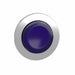 ExtendedPushButton Blue No Lamp 30mm