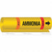 Pipe Marker Ammonia 9 in H 8 in W