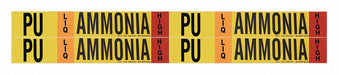 Pipe Marker Ammonia 1 1/8 in H 7 in W