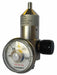 Gas Regulator 1Lpm