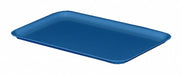E9332 Lid 6.125 in W Fiberglass Blue