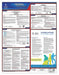 Labor Law Poster Federal Labor Law