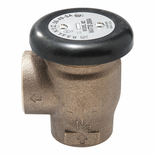 Backflow Preventer Size 2 1/2 125 psi