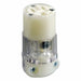 Straight Blade Connector 15A 5-15R
