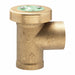 Backflow Preventer Size 1 1/4 125 psi