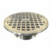 Floor Drain Strainer