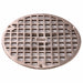 Floor Drain Nickel Bronze Round 1/4 H