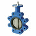 Butterfly Valves Lug 250 psi 4 Size