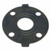 2 ANSI FLANGE EPDM GASKET