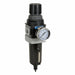 Filter/Regulator Aluminum Manual Drain