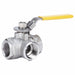 Manual 3-Way Ball Valve 2 CF8M SS