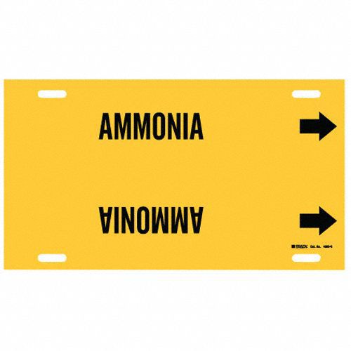 Pipe Marker Ammonia 10 in H 24 in W