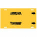 Pipe Marker Ammonia 10 in H 24 in W