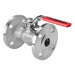 Manual 2-Way Ball Valve Flange CS