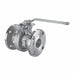 Manual 2-Way Ball Valve Flange CS