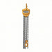 Handchain Hoist with Safety Hook