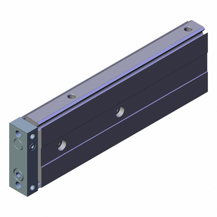 Dual PistonCylinder 15mmBore 100mmStroke