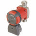 Circulating Pump Flange 1/6hp 230VAC