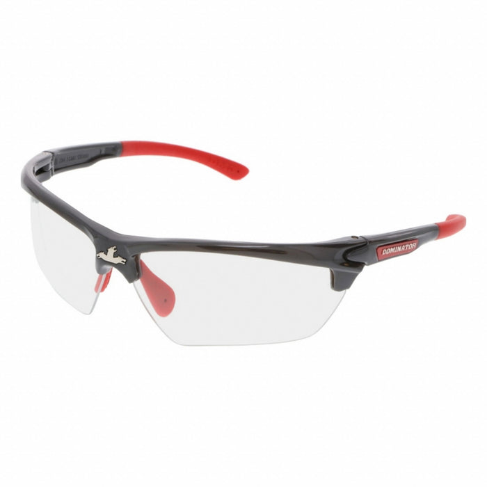 Safety Glasses PR