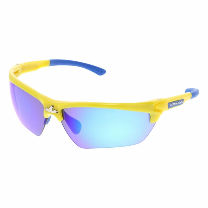 Safety Glasses PR