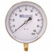 Differential Pressure Gauge 0 to 100 psi