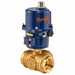 Electronic Ball Valve Brass 2 In.