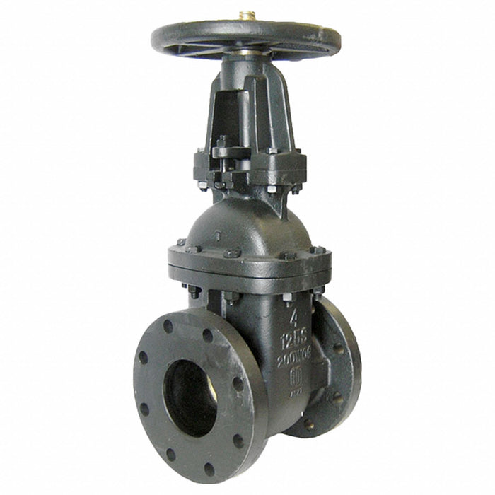 Gate Valve 2 Cast Iron Flange