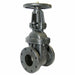 Gate Valve 2 Cast Iron Flange