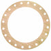 Flange Gasket Full Face 24 Pipe