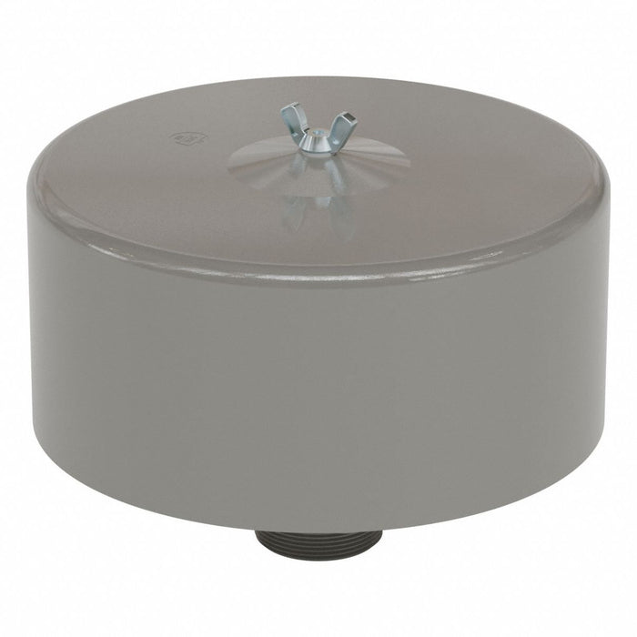 Filter Silencer 2 1/2 NPT Inlet 195 cfm