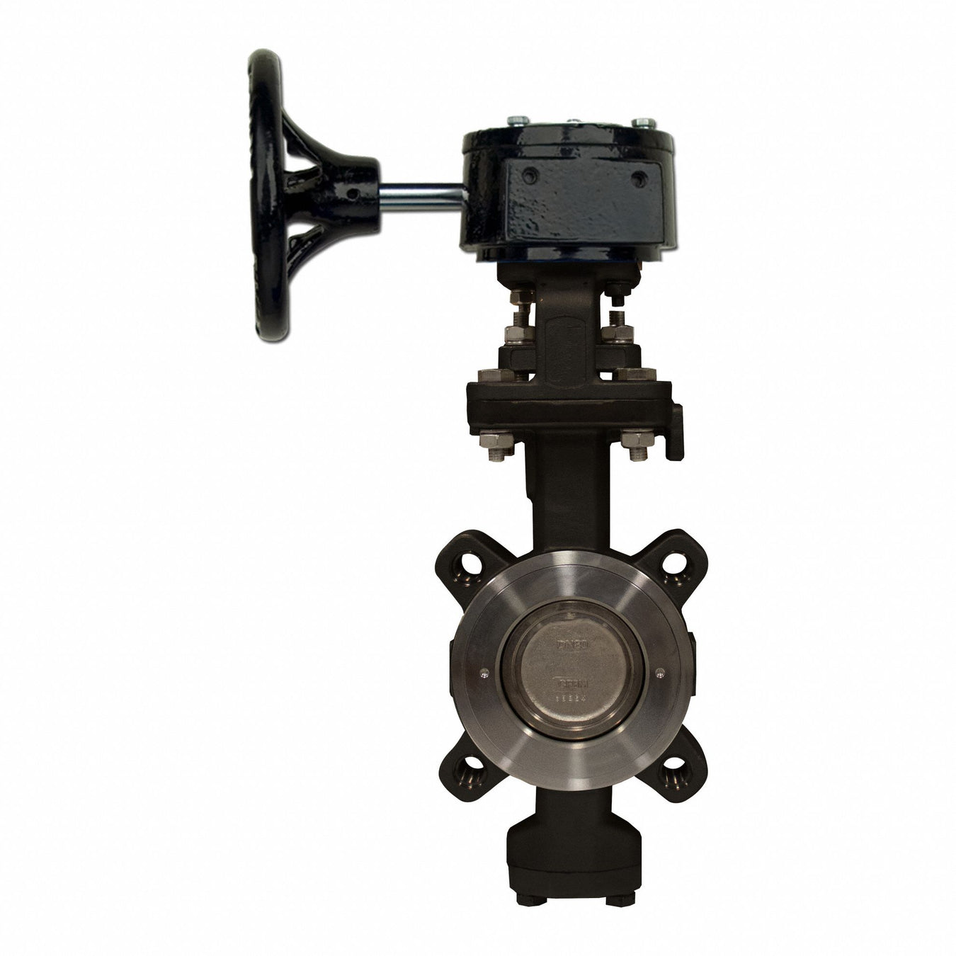 Butterfly Valve 5 PTFE