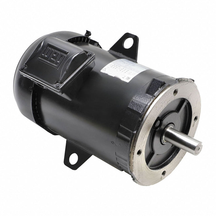 Pump Motor 3 hp 230/460V AC