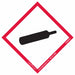 GHS Label 4 in H 4 in W Paper PK50