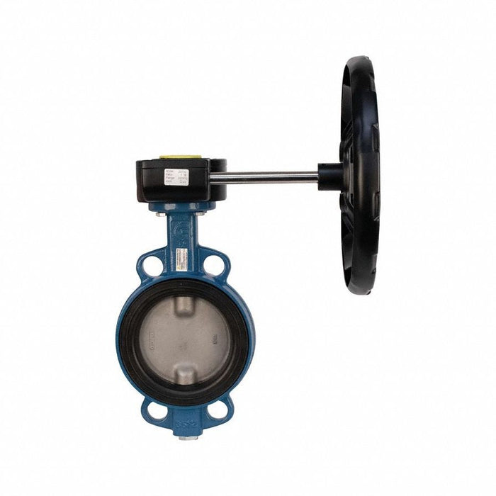 Butterfly Valve 2 Buna-N
