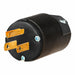 Straight Blade Plug Black 15 A Grounded