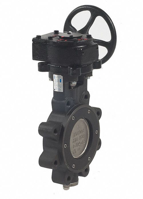Butterfly Valve Lug 12 in Carbon Steel