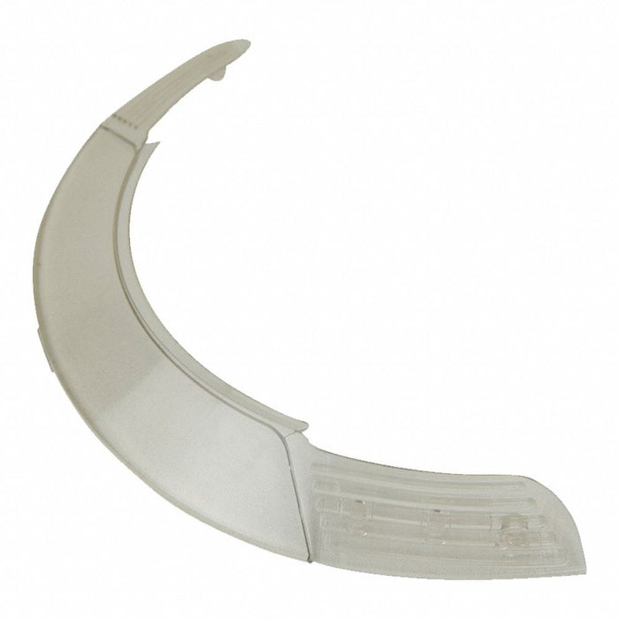 Clear Visor