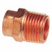 Straight Copper Cup5/8in MNPT1/2in