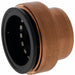 Cap Copper Push-to-Connect 1 in