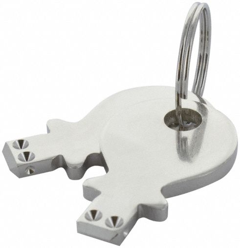 Replacement Key