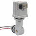 Photocontrol Stem and Swivel Gray