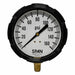 Industrial Pressure Gauge